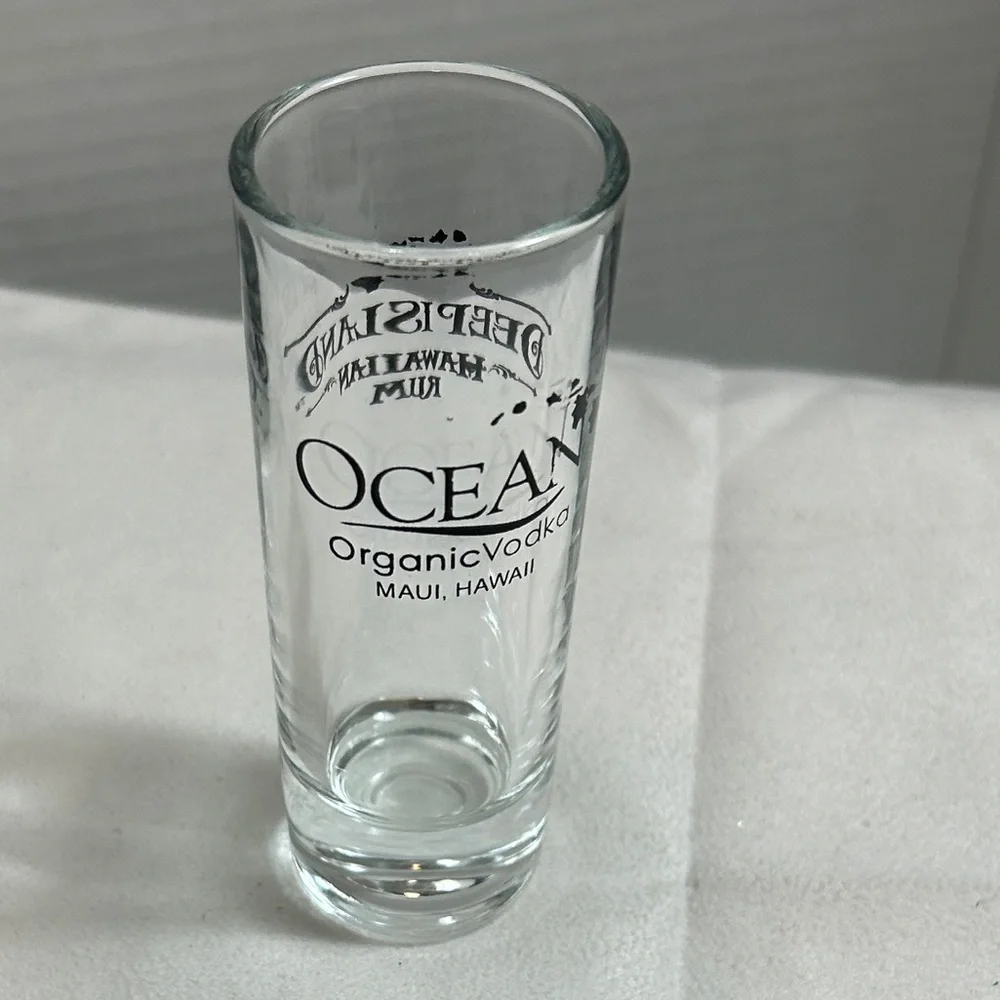 Shot Glass Lot of 4 Cozumel & Maui 4”H
